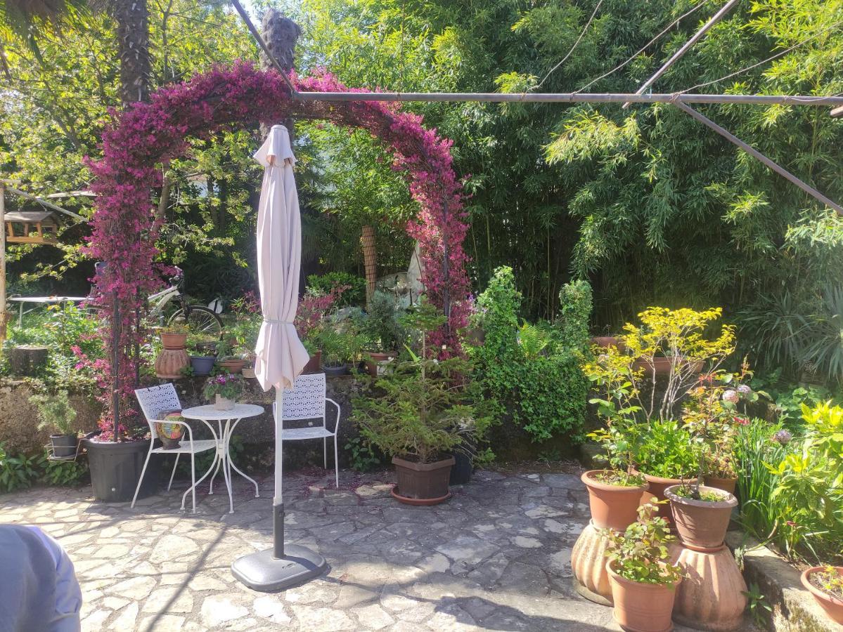 Apartment Valenta Poreč Zewnętrze zdjęcie