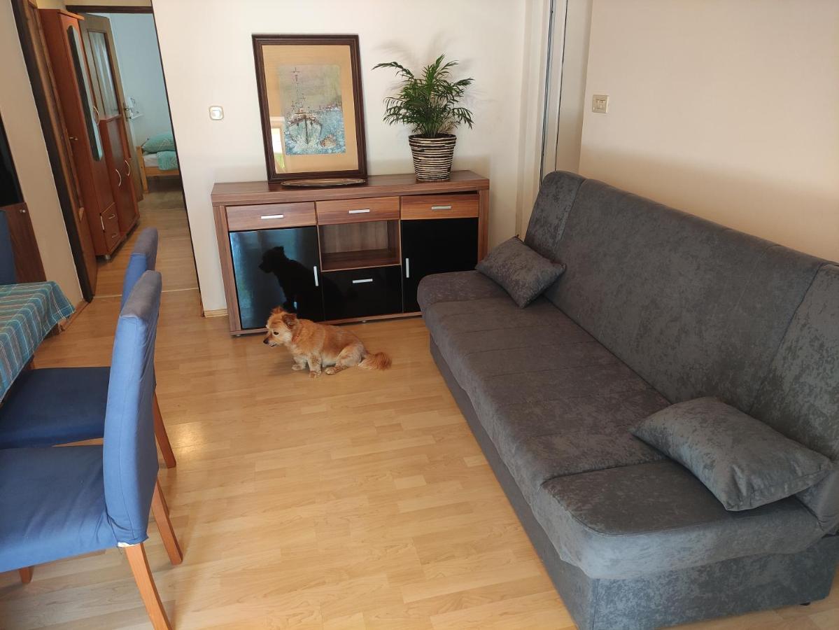 Apartment Valenta Poreč Zewnętrze zdjęcie
